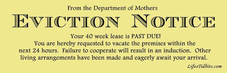 Baby eviction notice, courtesy of the internet
