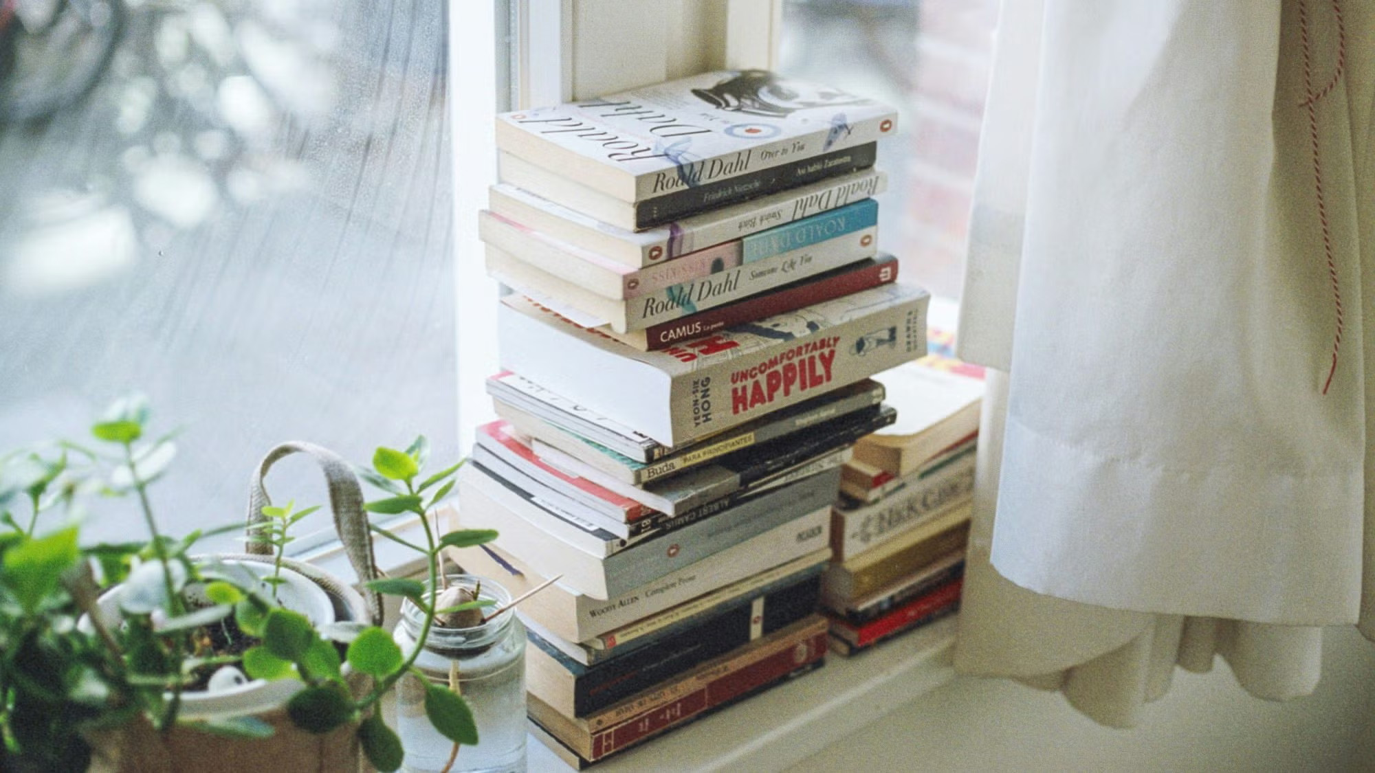 Original image of a stack of books on a windowsill next to a plant.